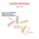 ARG 룸브로키나제 순환계 서포트 30캡슐 - ARG Lumbrokinase Circulatory System Support 30 cap
