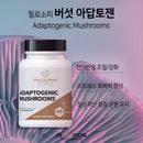 필로소피 버섯 아답토젠 60캡슐 - Philosophy Nutrition Adaptogenic Mushrooms 60 cap