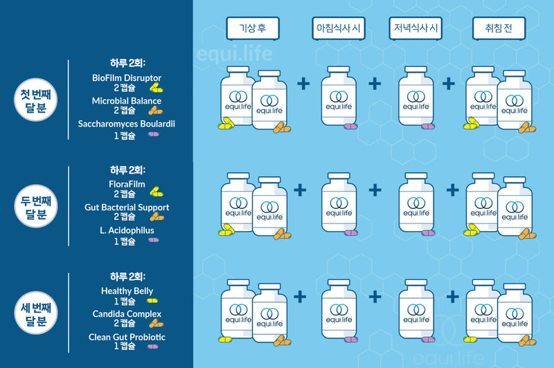 이퀴라이프 칸디다 & 박테리아 최적화 프로토콜 - equi.life Candida & Bacterial Optimizer Protocol
