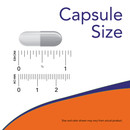 나우푸드 L 카르노신 500mg 50캡슐 - NOW Foods L Carnosine 500mg 50 veg cap