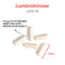 ARG 룸브로키나제 순환계 서포트 30캡슐 - ARG Lumbrokinase Circulatory System Support 30 cap