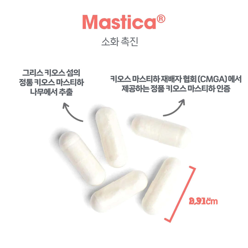 ARG 매스티카® 120캡슐 - ARG Mastica® 120 cap