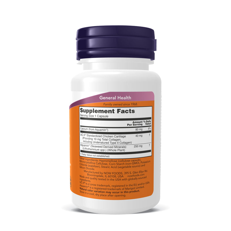 나우푸드 UC II® 관절 건강 비변성 타입 II 콜라겐 120캡슐 - NOW Foods UC II® Type II Collagen 120 cap
