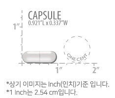 라이프익스텐션 글리신 1000mg 100캡슐 - Life Extension Glycine 1000mg 100 cap