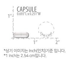 라이프익스텐션 메가 벤포티아민 250mg 120캡슐 - Life Extension Mege Benfotiamine 250mg 120 vegetarian cap